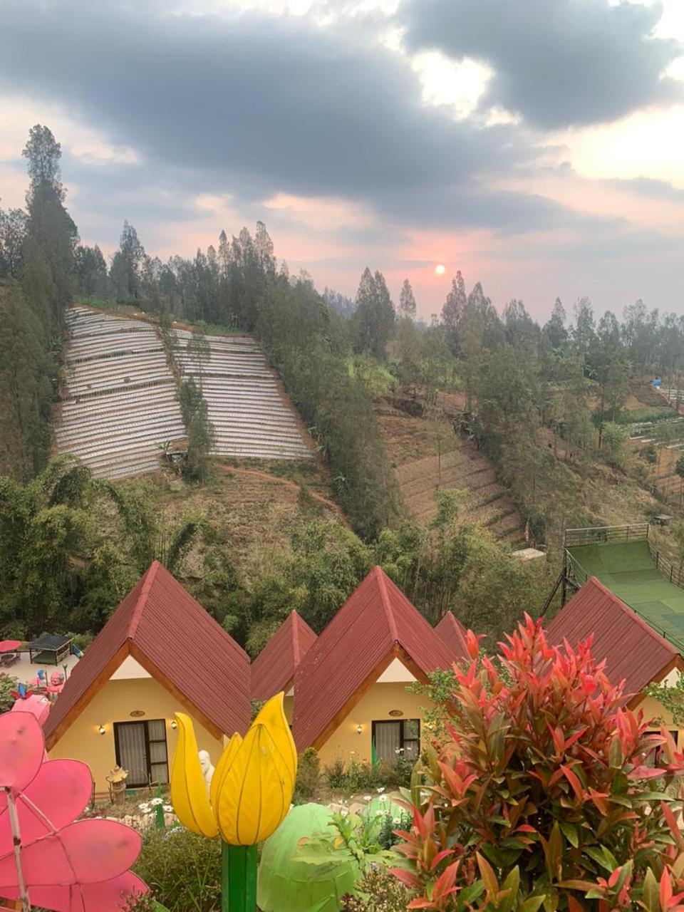 Hotel Nature Bromo And Resort Pasuruan Εξωτερικό φωτογραφία