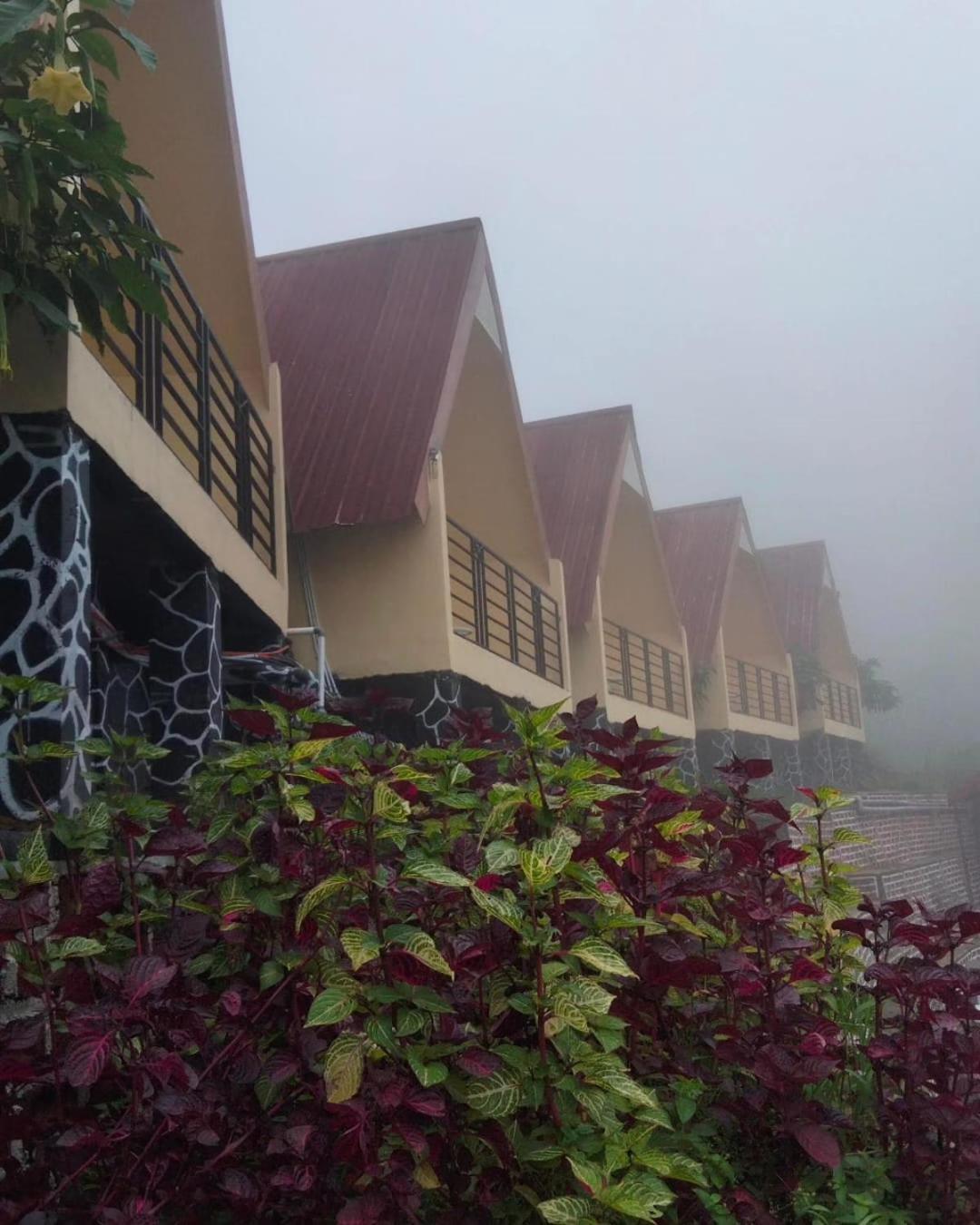 Hotel Nature Bromo And Resort Pasuruan Εξωτερικό φωτογραφία